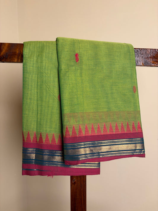 Kanchi - Parrot Green & Magenta