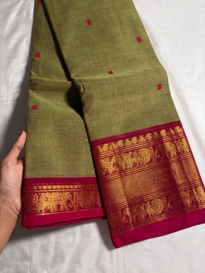 Kanchi - Olive Green & Pink
