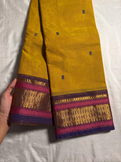 Kanchi - Mustard Yellow