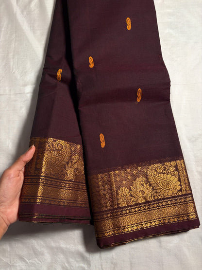 Kanchi - Chocolate Brown & Green dual tone